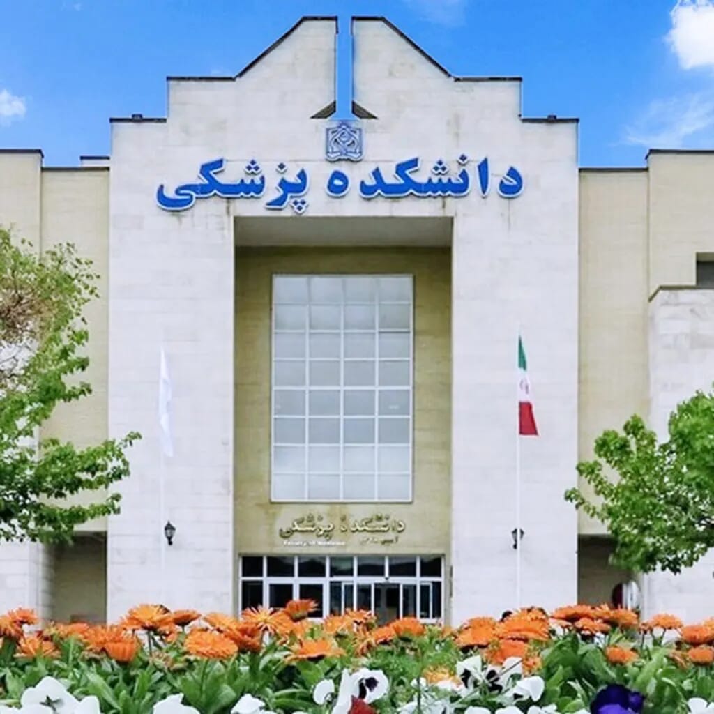 Faculty of Medicine